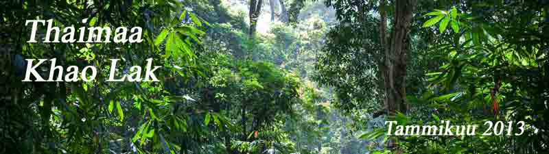 Thaimaa