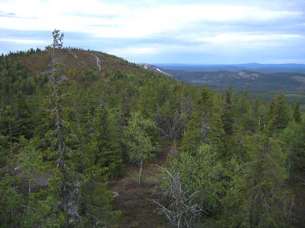 N�kym� Valtavaaralta Rukalle p�in