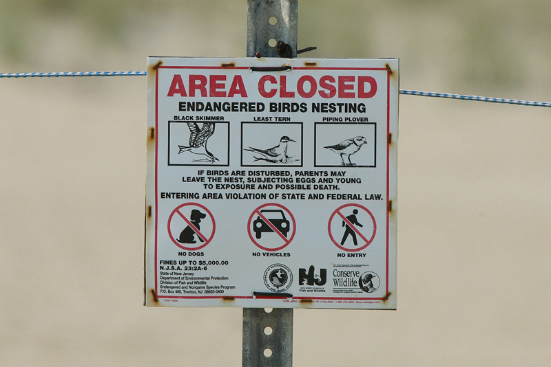 Cape May