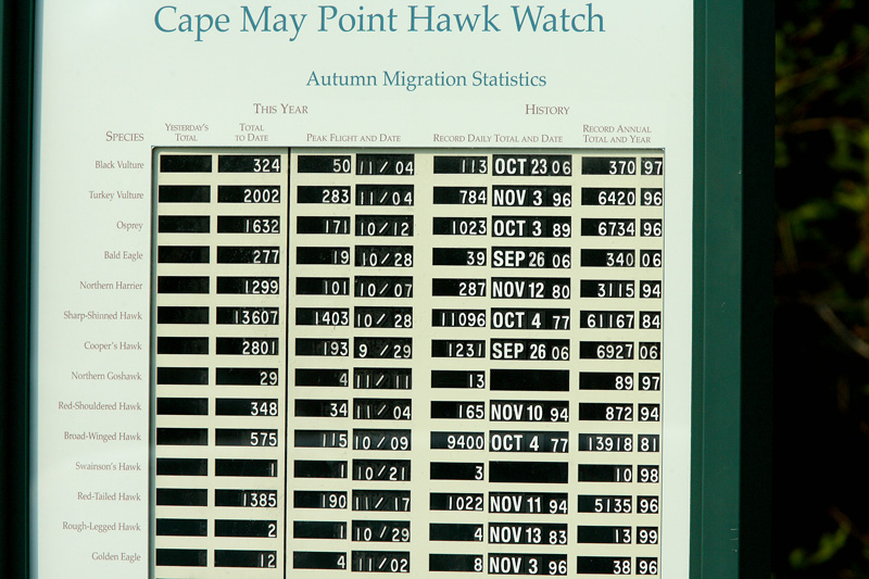 Cape May