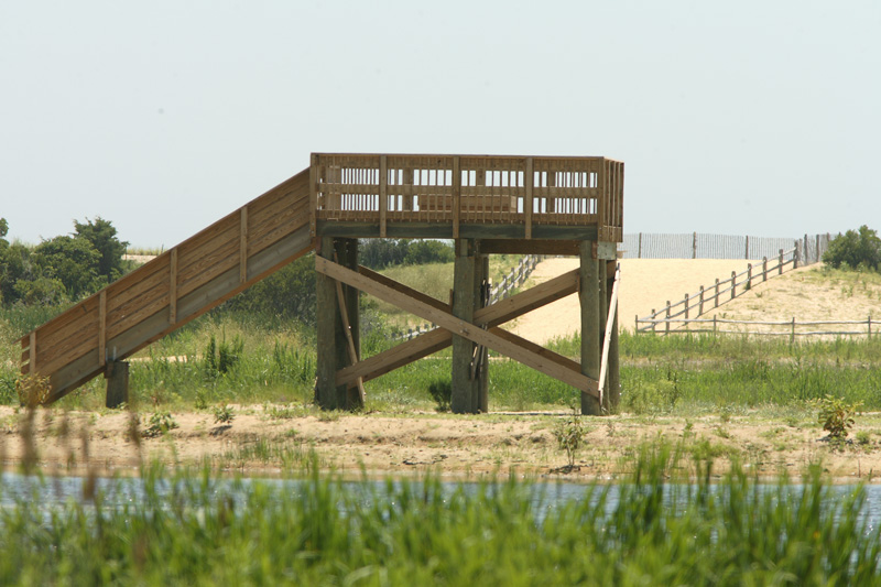 Cape May