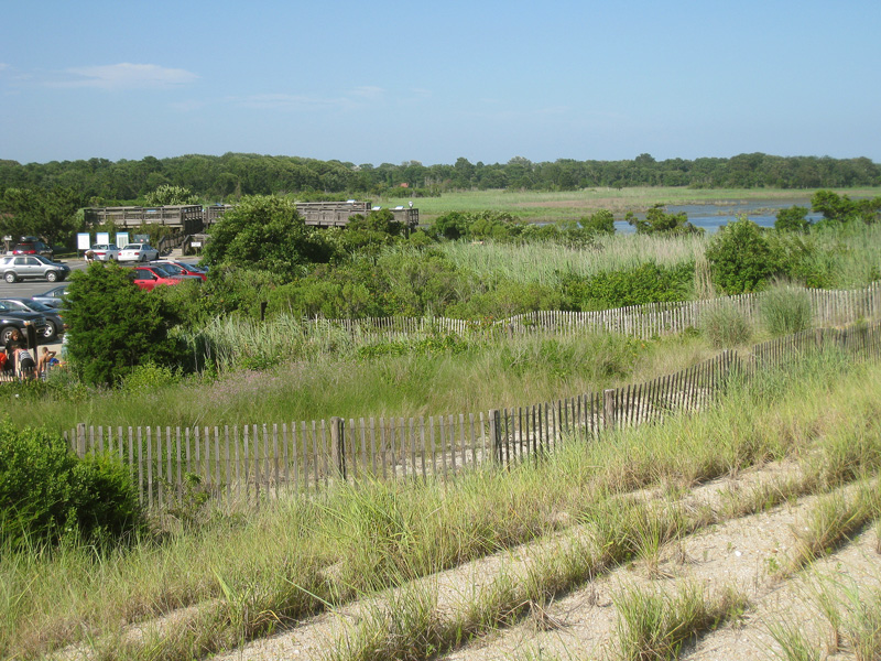 Cape May