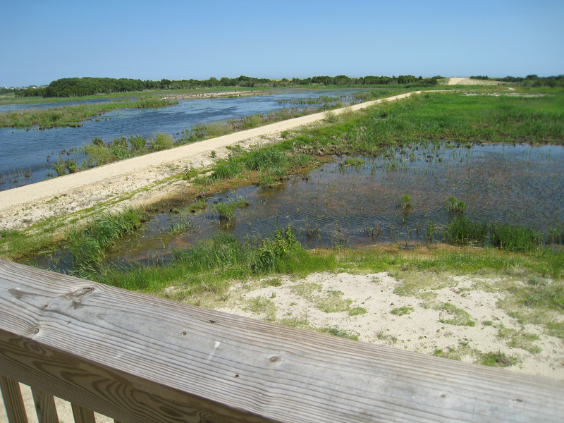 Cape May