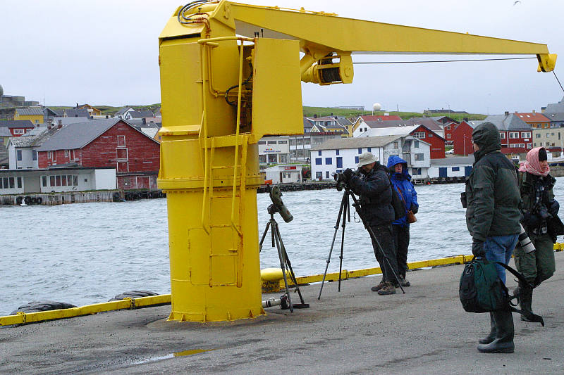 Hanski m��ritt��