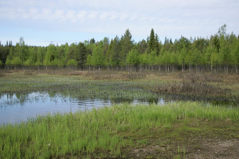 Onko vesi ollut noin korkealla?