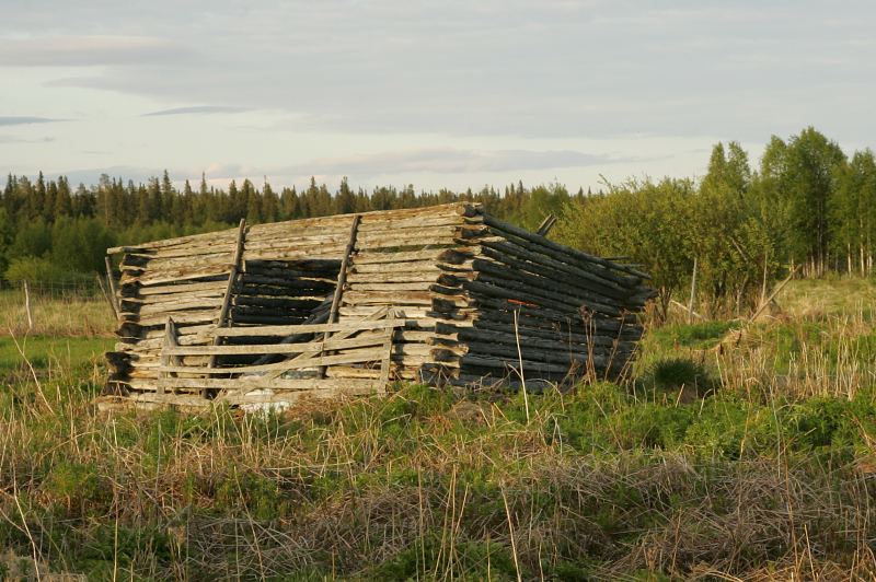 Traktorinmunat ei pes�� tarvitse