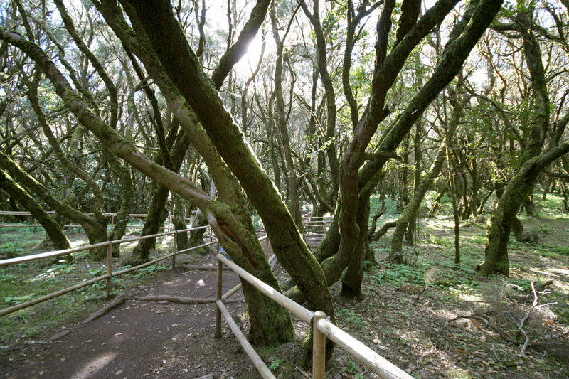 La Gomera, La Laguna Grande