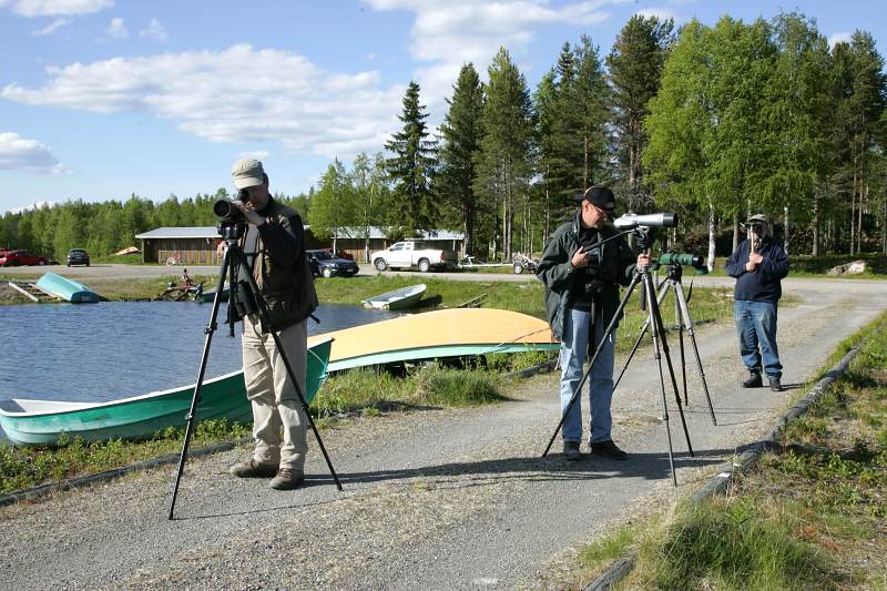 T�ss� me n�htiin viimeksi merikotka